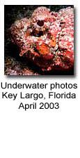 Photos from Key Largo