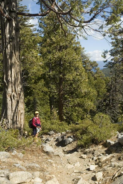 Calif_1006_03