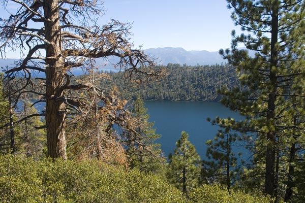 Calif_1006_22