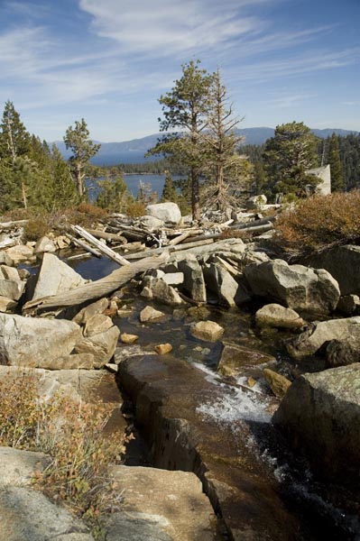 Calif_1006_36