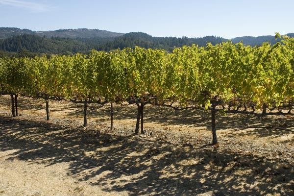 Calif_1006_49
