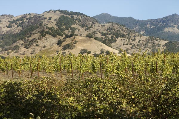 Calif_1006_79