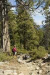 Calif_1006_03