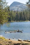 Calif_1006_10