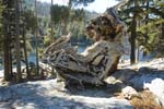 Calif_1006_15