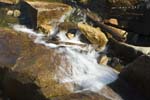 Calif_1006_38