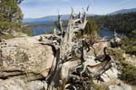 Calif_1006_43