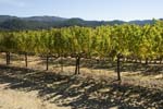 Calif_1006_49