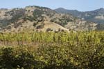 Calif_1006_79