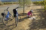 Calif_1006_92