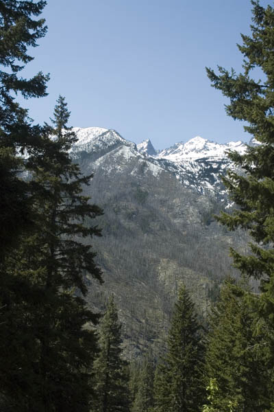 Washington_2007_05_15