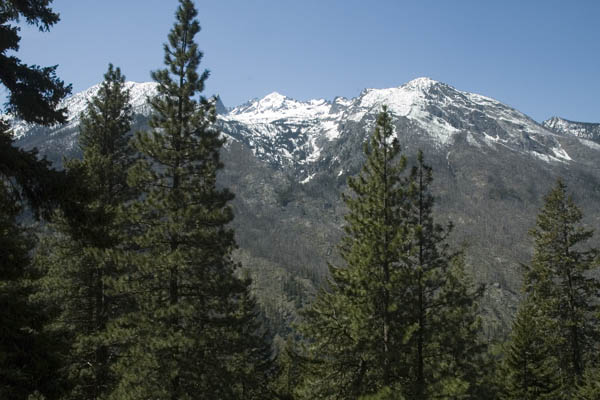 Washington_2007_05_17