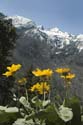 Washington_2007_05_22