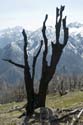 Washington_2007_05_34