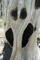 Washington_2007_05_38