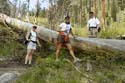 Washington_2007_05_42