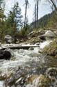 Washington_2007_05_47