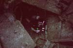 Angus_in_Wreck_228