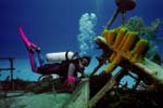 Cayman_Mariner_131