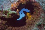 Russian_Wreck_219
