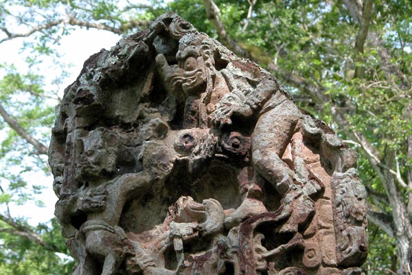 Copan_0603_33