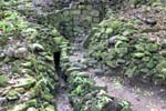 Copan_0603_14