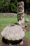 Copan_0603_30