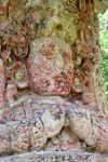 Copan_0603_32