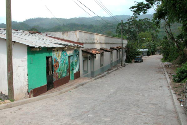 Copan_Ruinas_Forest_060004