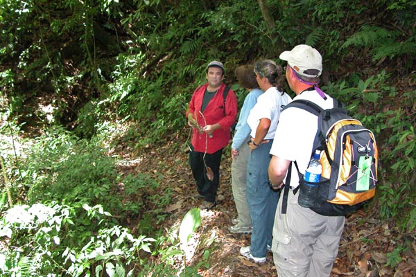 Copan_Ruinas_Forest_060010