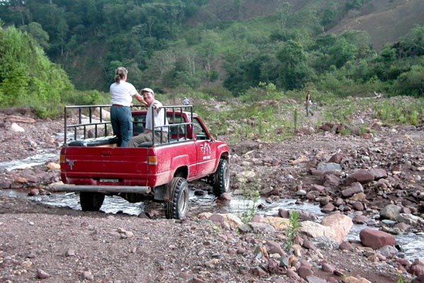 Copan_Ruinas_Forest_060022