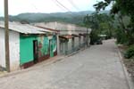 Copan_Ruinas_Forest_060004