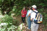 Copan_Ruinas_Forest_060010