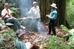 Copan_Ruinas_Forest_060015