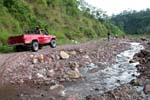 Copan_Ruinas_Forest_060021