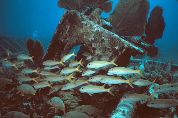 Key_Largo_21