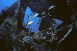 Key_Largo_14