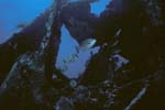 Key_Largo_15