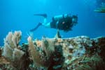 Key_Largo_16