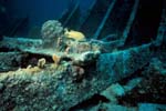 Key_Largo_17