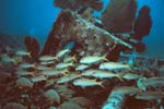 Key_Largo_21