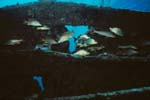 Key_Largo_24