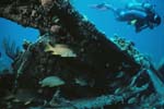 Key_Largo_26