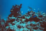 Key_Largo_27