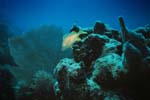Key_Largo_30