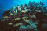 Key_Largo_31