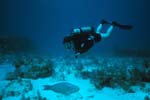Key_Largo_34
