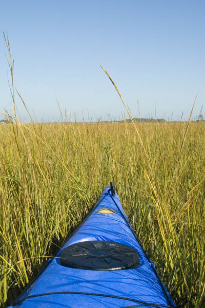 Tybee_Island_200711_38