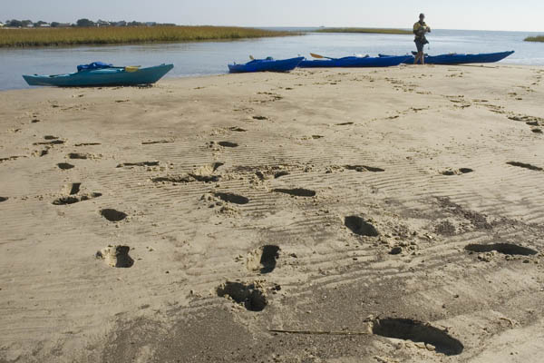 Tybee_Island_200711_49
