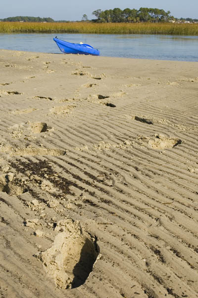 Tybee_Island_200711_50